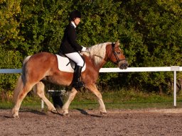 IMG_7609_web